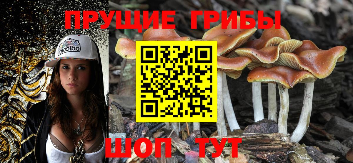 Галлюциногенные грибы GOLDEN TEACHER Астрахань
