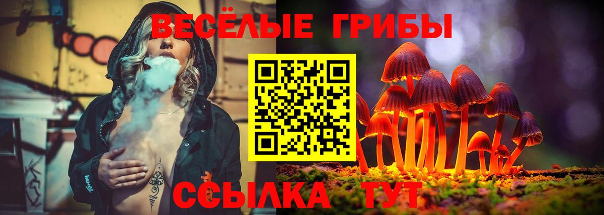 Астрахань  Псилоцибиновые грибы Psilocybe  Галлюциногенные грибы мицелий  Вход с VPN 